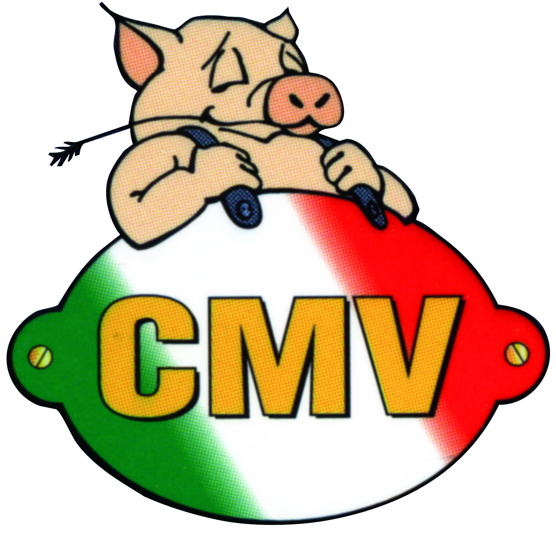 C.M.V. S.A.S. di Garello Maria & C.