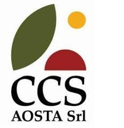 CCS Aosta S.r.l.