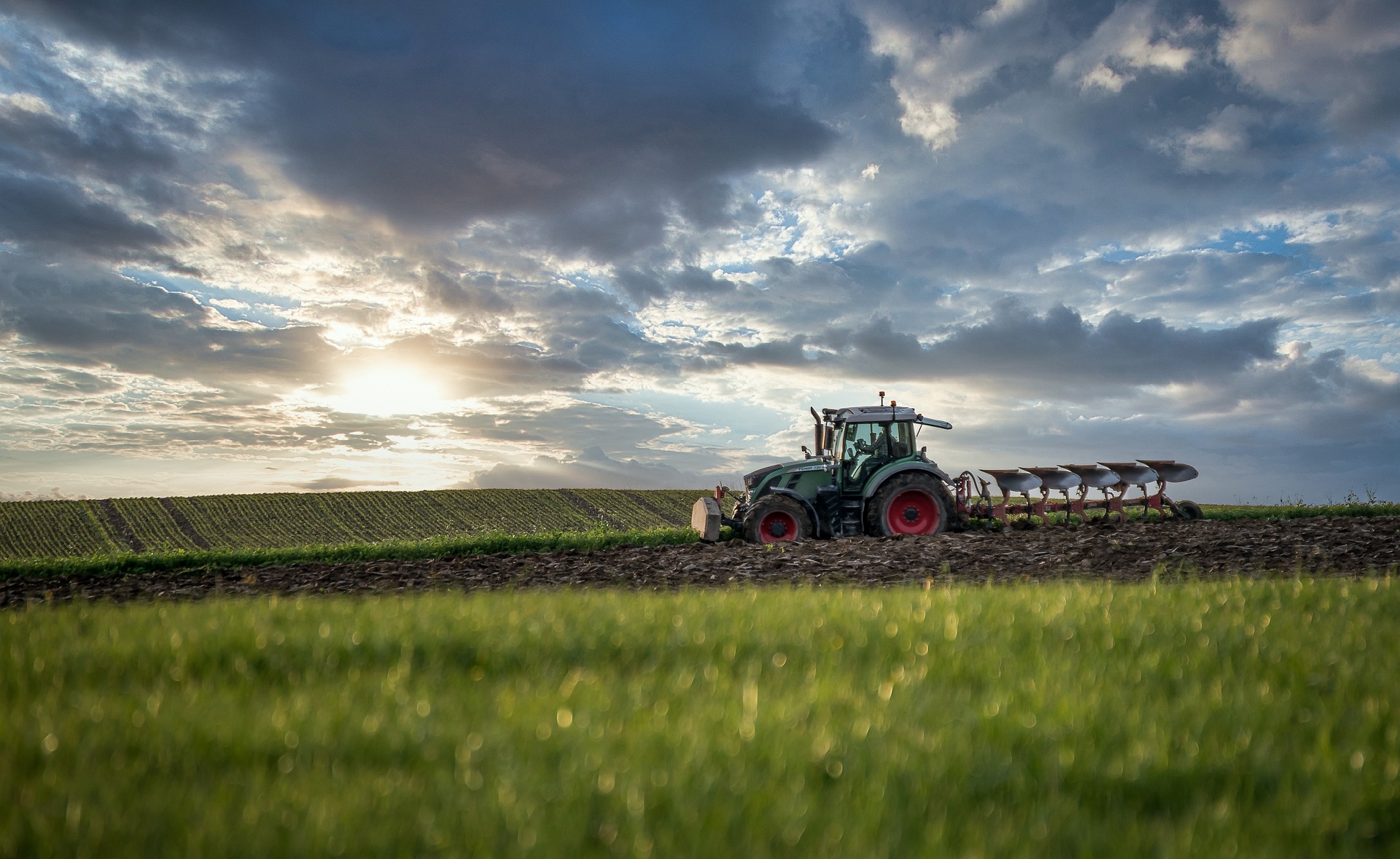 MAGA - sviluppo di un prototipo di Macchina A Guida Autonoma a propulsione elettrica in grado di eseguire operazioni colturali diversificate in ambienti agricoli confinati